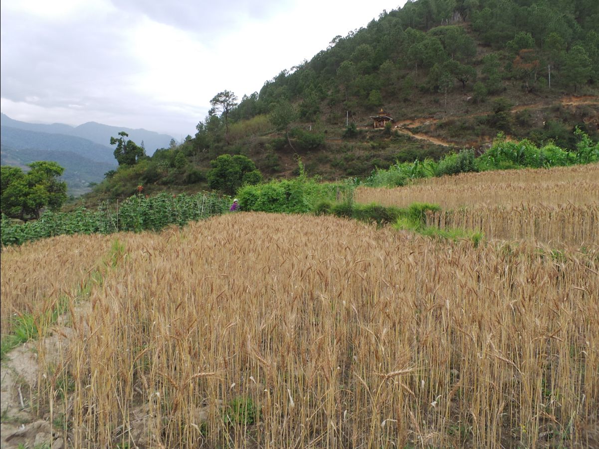 Gantey Hike06